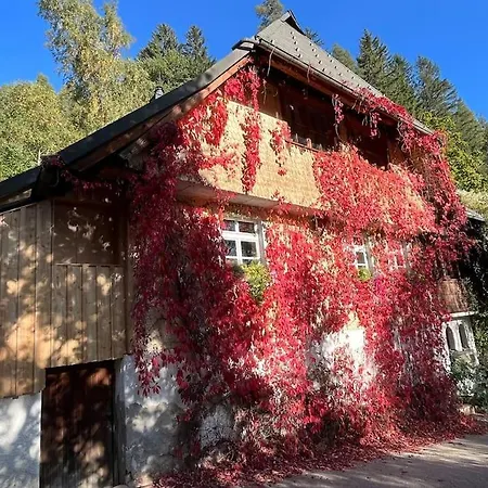 Auszeit Am Kreisbach Apartamento Triberg im Schwarzwald