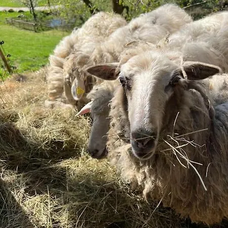Auszeit Am Kreisbach アパート *